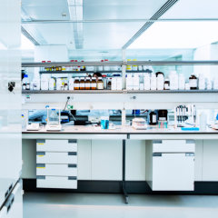 shelves and equipment in laboratory